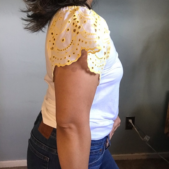 LOFT XS eyelet flutter sleeve top - Picture 3 of 5